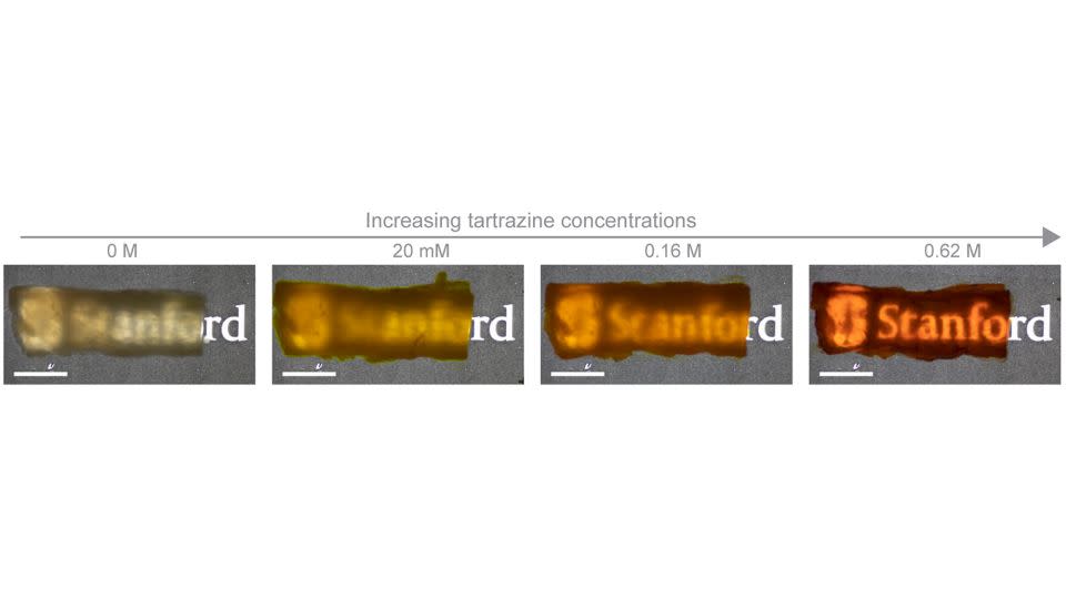 Photos illustrate the difference in the transparency of chicken breast tissue after soaking in tartrazine solutions with an increasing concentration. - Guosong Hong/Stanford University