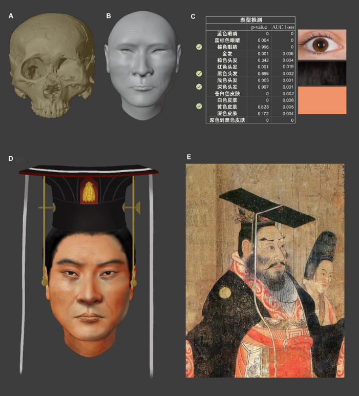 中國科學團隊最近透過顱骨掃描技術復原1400年前的北周武帝長相。翻攝上觀