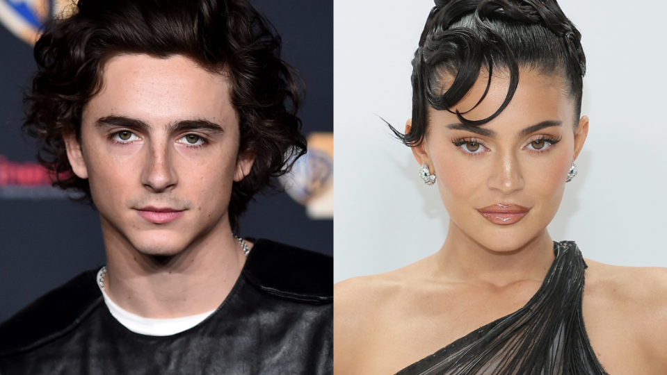 kylie jenner timothee chalamet