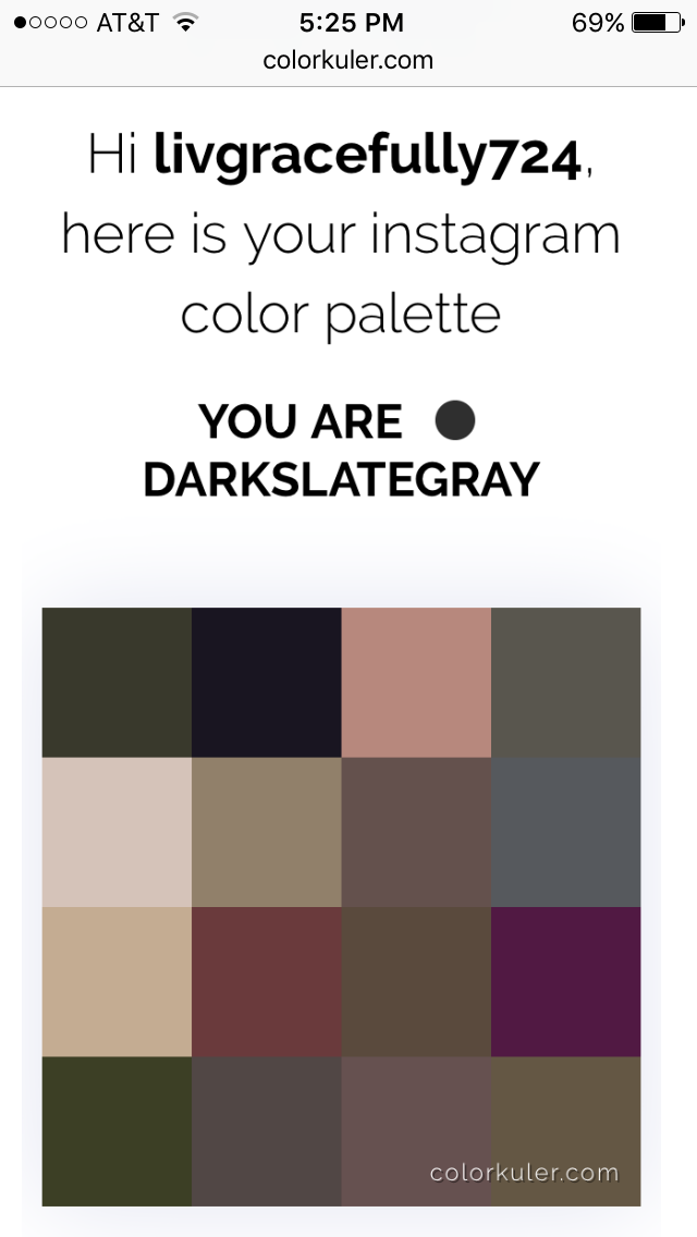 Image of Instagram color palette