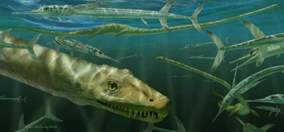 PHOTO: Dinocephalosaurus orientalis swimming alongside some prehistoric fish known as Saurichthys. (National Museums Scotland / Marlene Donelly)