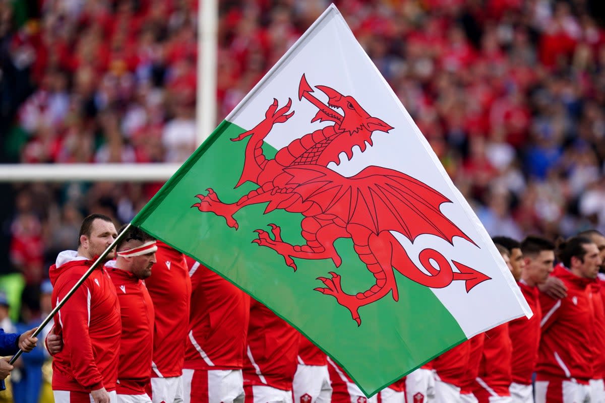 Welsh regional teams can now start offering contracts (David Davies/PA) (PA Wire)