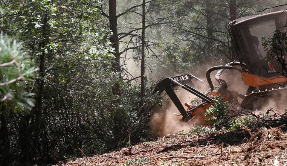 A masticator “mows” dense brush to create a fuel break in the Stanislaus National Forest near Cedar Ridge in May 2022.