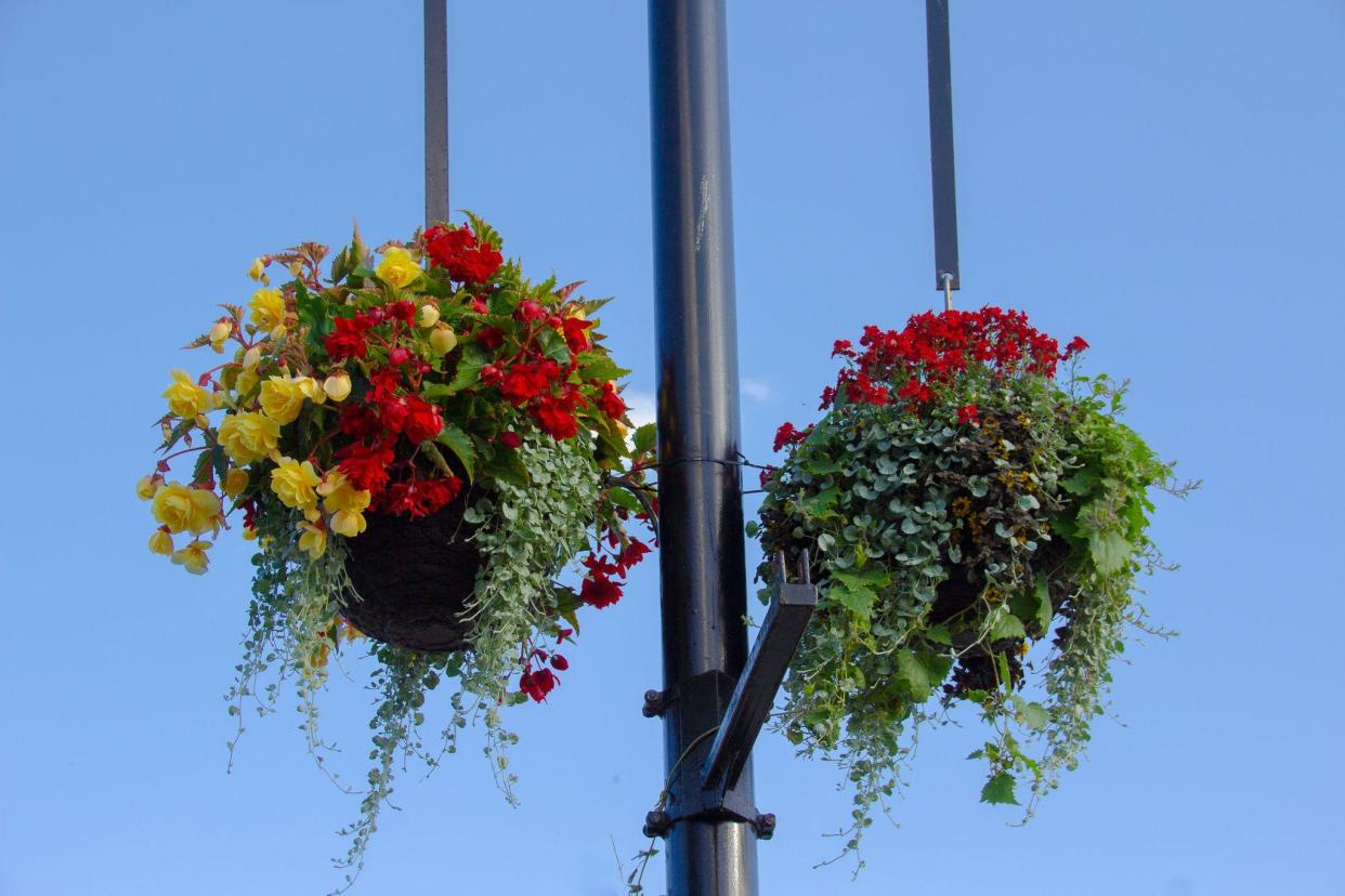 Hanging baskets on lampposts