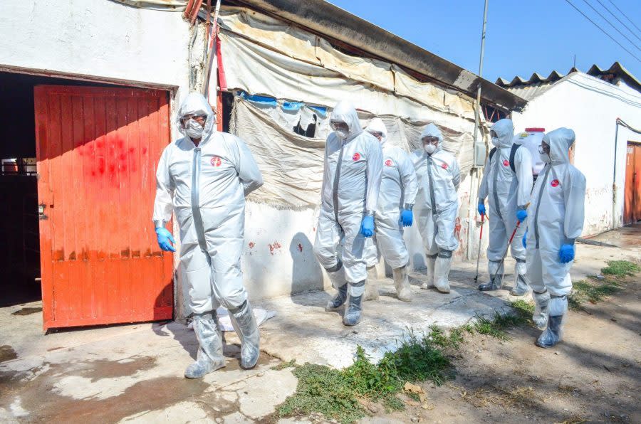 Controles sanitarios, alerta por cólera