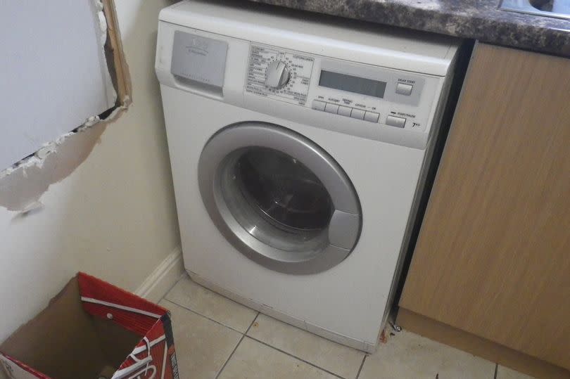 The washing machine which the cat died in. (RSPCA)