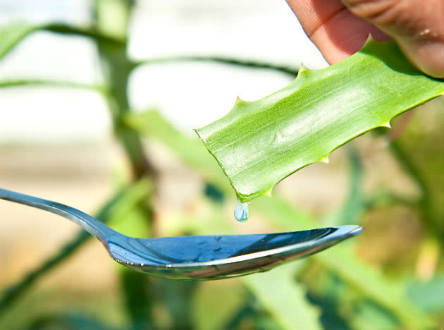 <b>Aloe Gel Remedy:</b> An effective, natural concoction for diabetes can be prepared by adding a few teaspoons of ground Bay Leaf (Tejpatra) with one teaspoon of turmeric. This mixture should be mixed with an equal amount of aloe vera gel and consumed daily, before lunch and dinner.