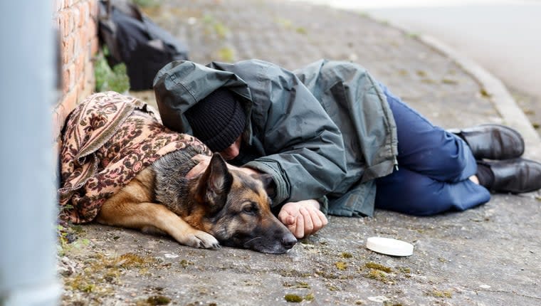 Shelter Reunites Dog With Parent After Homelessness