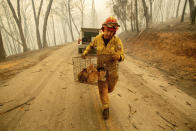 <p>Capt. Steve Millosovich carries a cage of cats while battling the Camp Fire in Big Bend, Calif., on Nov. 9, 2018. Millosovich said the cage fell from the bed of a pick-up truck as an evacuee drove to safety. (Photo: Noah Berger/AP) </p>