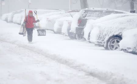 A woman carries a shovel through a parking lot during blizzard conditions in Chicago, Illinois, February 1, 2015. REUTERS/Jim Young