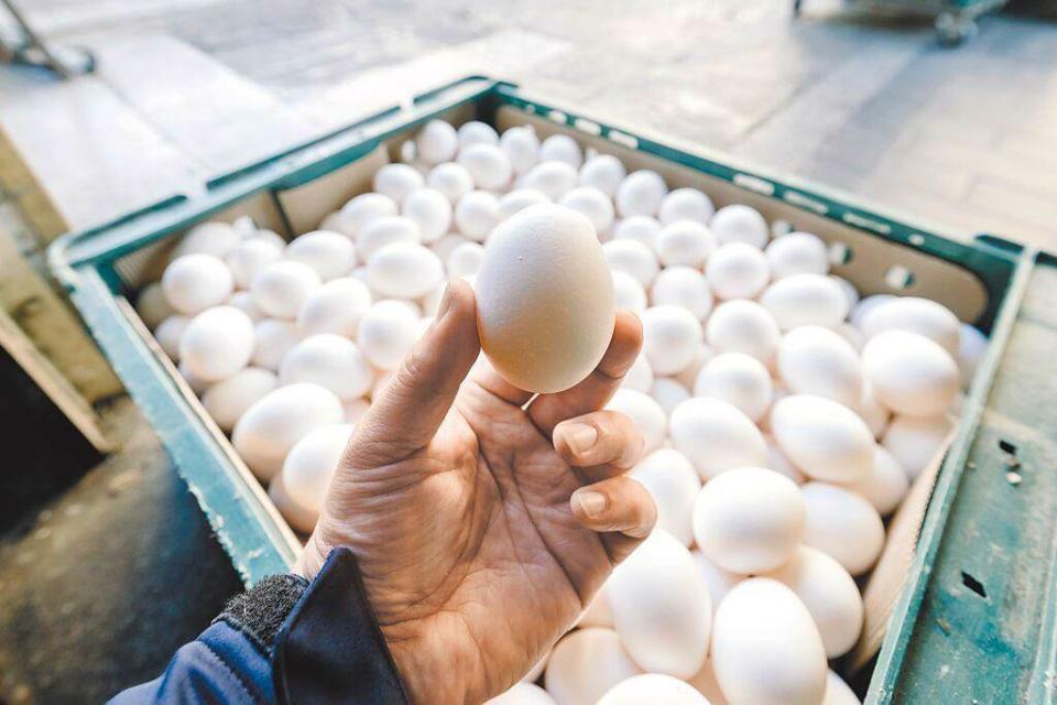 本土雞蛋供應缺口使得蛋價高漲，農委會採購進口蛋也十分搶手。（示意圖／本報資料照）