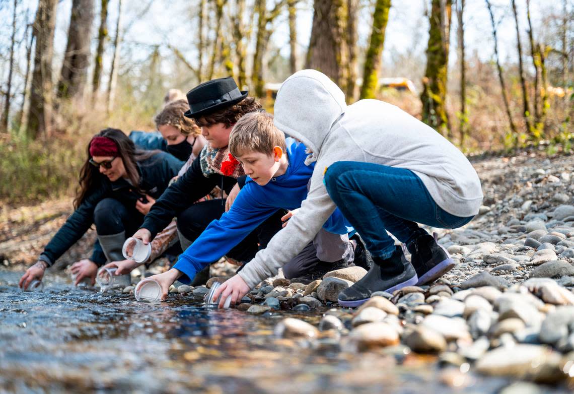 Grant Elementary School fifth grader Murdock Malone, 10, center, releases a juvenile coho salmon into Swan Creek with some of his classmates during a school field trip that is part of the Foss Waterway Seaport’s Salmon in the Classroom program, in Tacoma on March 15, 2023. This year 35 classes in 17 elementary schools were a part of the program and hatched coho salmon eggs in their classrooms.