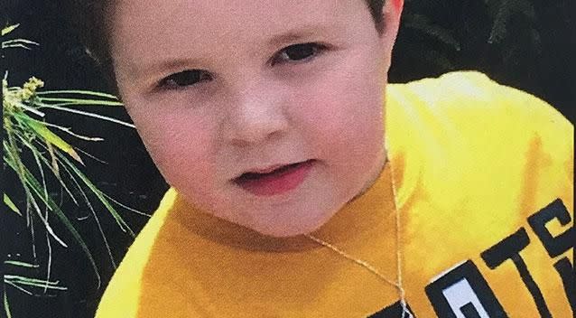 Aramazd Andressian Jr was murdered by his father after a trip to Disneyland. Photo: AP