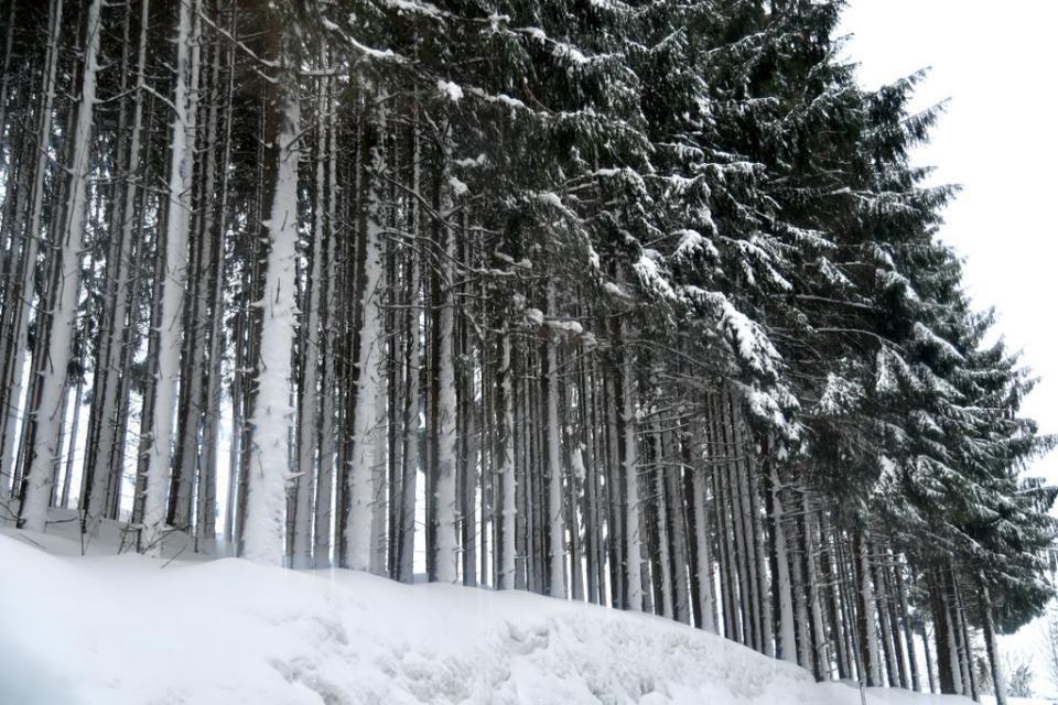 STOCK IMAGE: Near Salzburg in Austria (AFP via Getty Images)