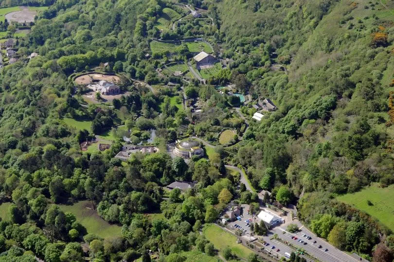 Belfast Zoo is opening the Cave Hill pathway from the zoo to Belfast Castle for the first time