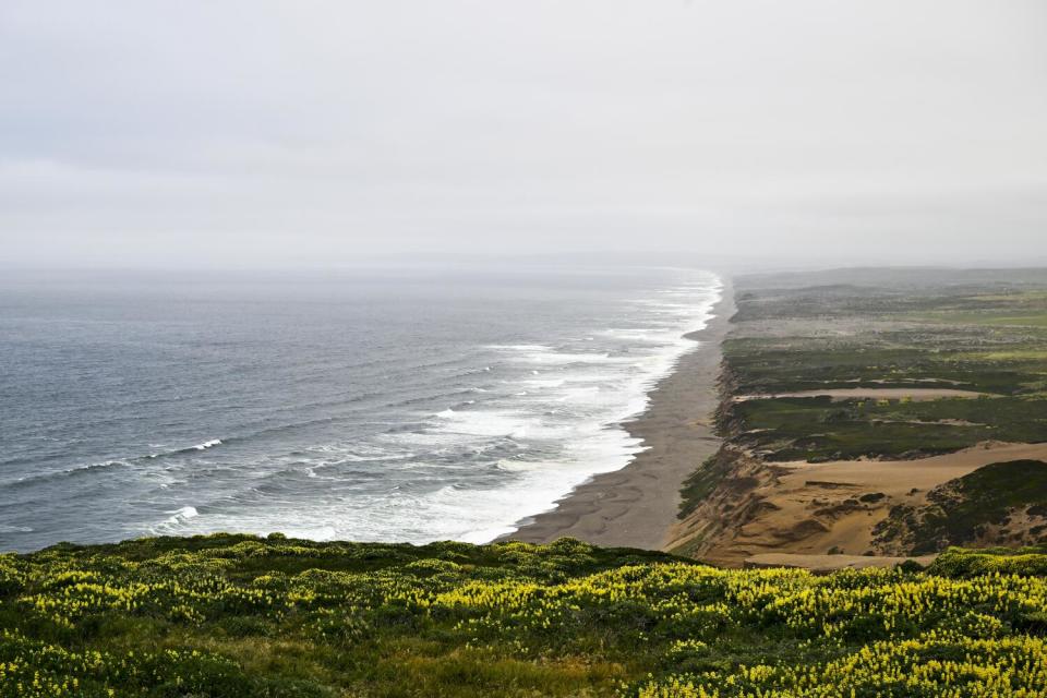 An aerial view of a foggy, rocky seashore.