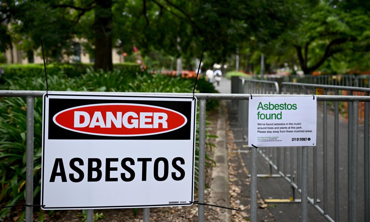 <span>Asbestos signs at Sydney’s Victoria park, where bonded asbestos was found in mulch, 14 February 2024. </span><span>Photograph: Dan Himbrechts/EPA</span>