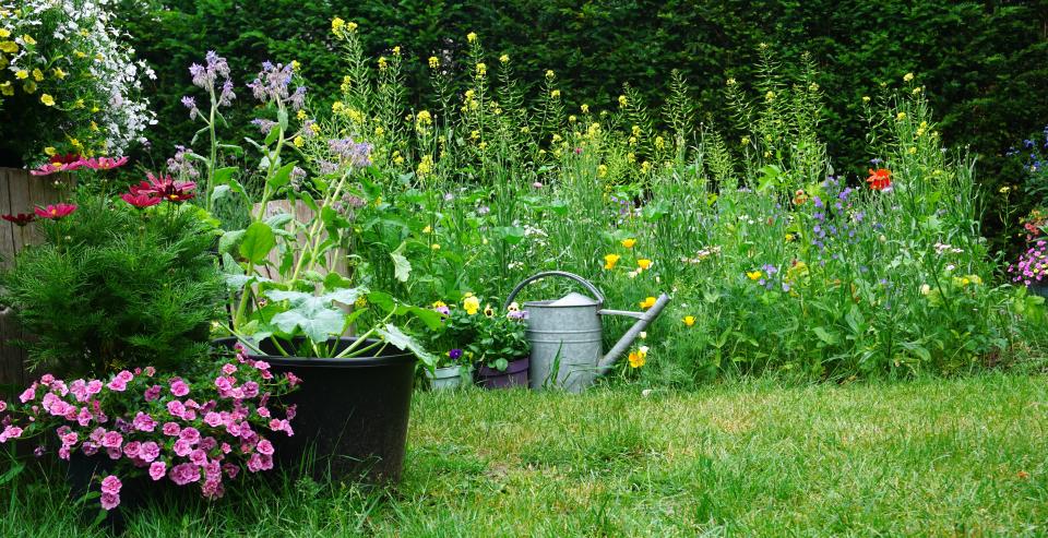 You can celebrate National Plant a Flower Day by planting a pollinator garden.