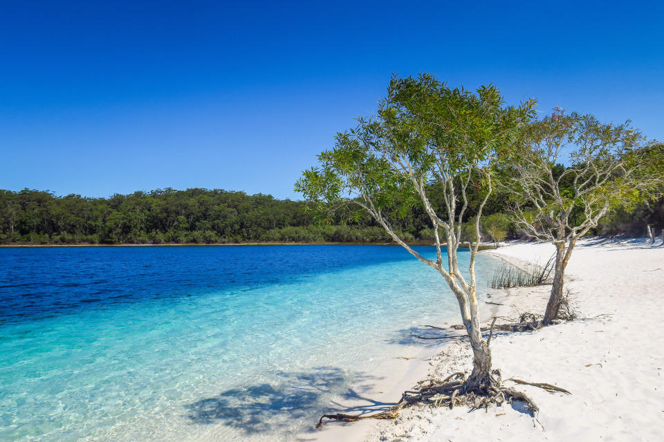 The largest sand island in the world, Fraser Island, Australia