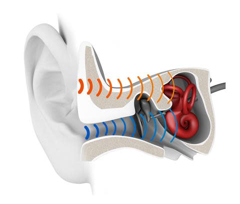 bone conduction