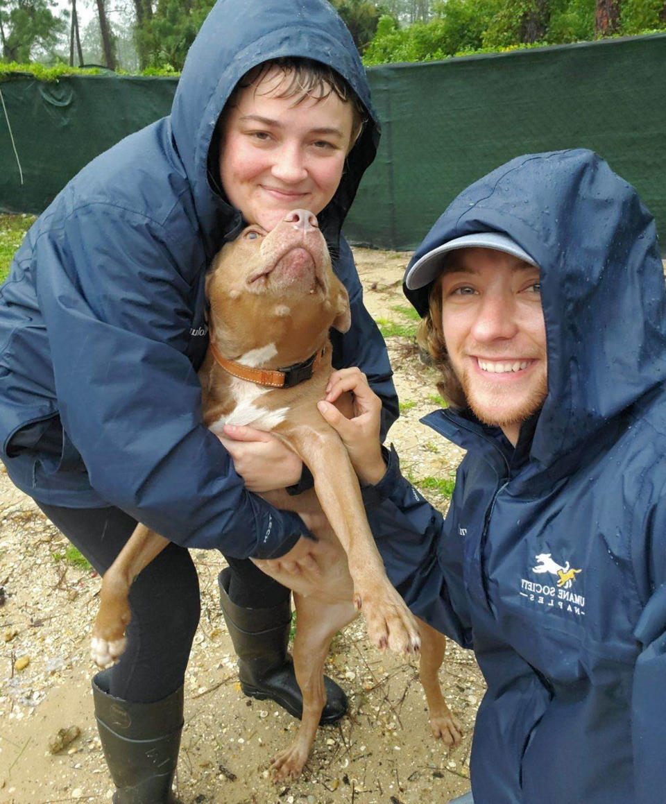 Shelter teams in Florida are working overtime to help pets affected by Hurricane Ian. (Humane Society Naples)