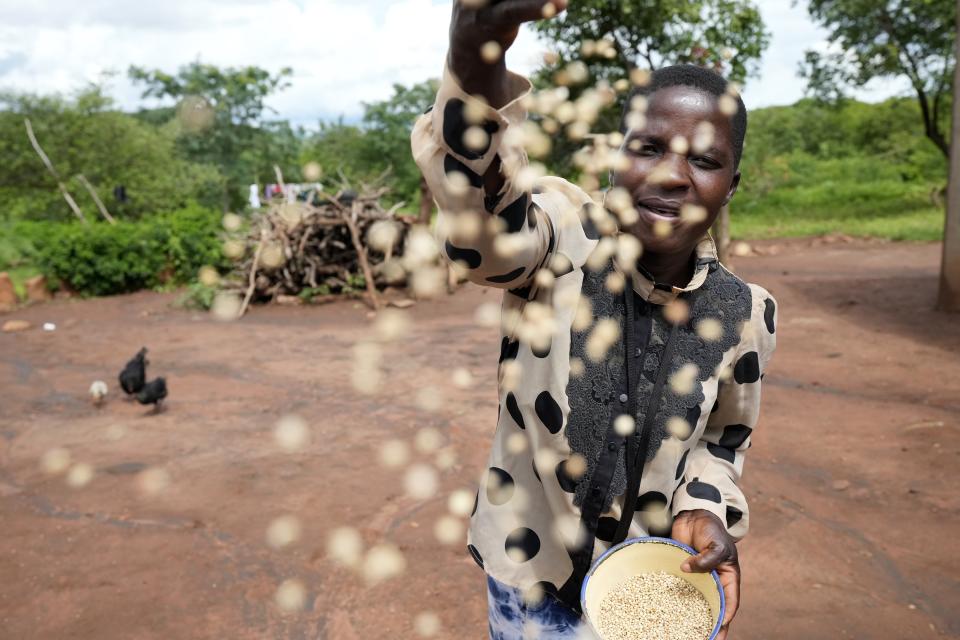 Maria Chagwena, a millet farmer, feeds her chickens millet grains in Zimbabwe's arid Rushinga district, northeast of the capital Harare, Wednesday, Jan, 18, 2023. With concerns about war, drought and the environment raising new worries about food supplies, the U.N.'s Food and Agricultural Organization has christened 2023 as the “Year of Millets” — grains that have been cultivated in all corners of the globe for millennia but have been largely pushed aside. (AP Photo/Tsvangirayi Mukwazhi)