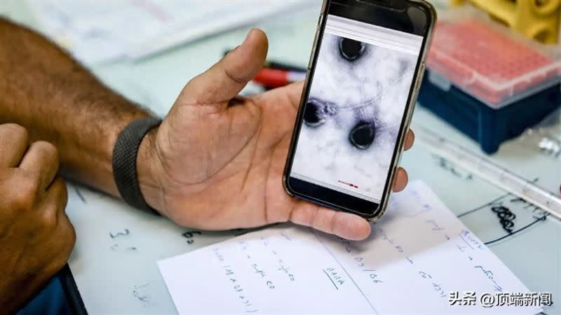 去年9月25日，法國馬賽，克拉維裡研究團隊的一名成員在手機上展示一段影片，顯示恐釋放出殭屍病毒。（圖／微博）