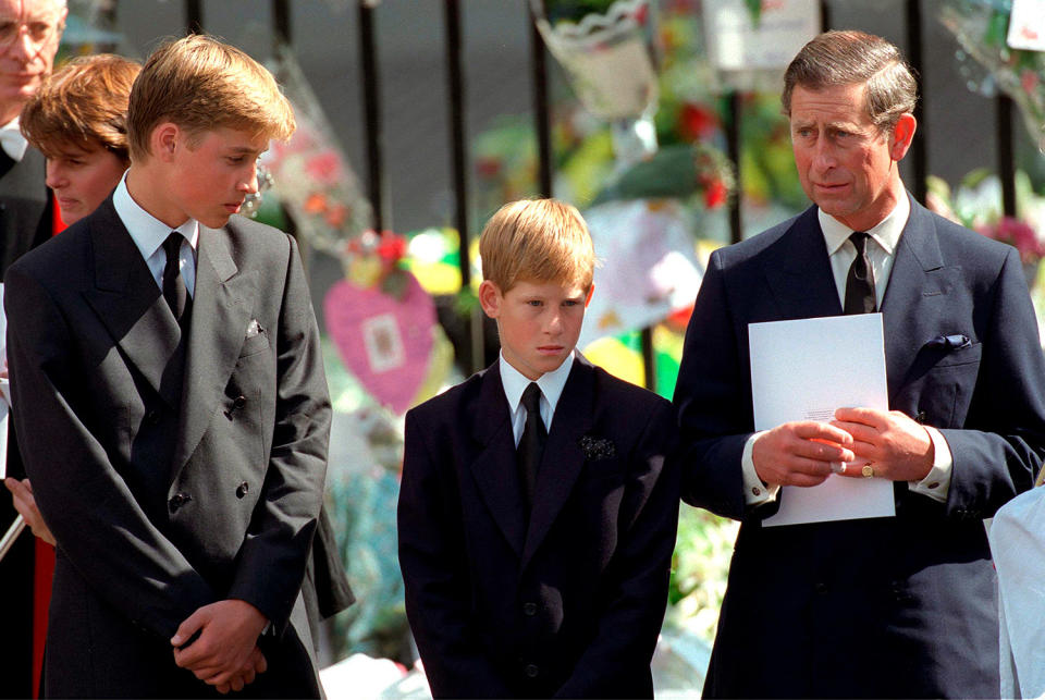 William and Harry in Mourning