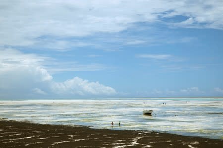 The Wider Image: Tanzania's Zanzibar begins to register traditional healers