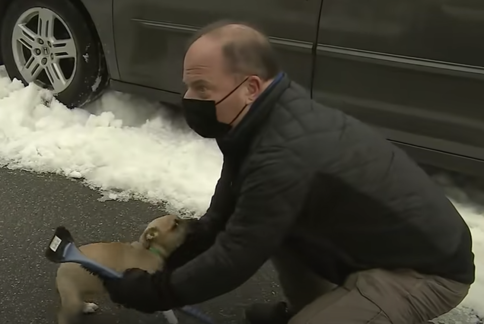 Fox 5 DC's Bob Barnard with a puppy.