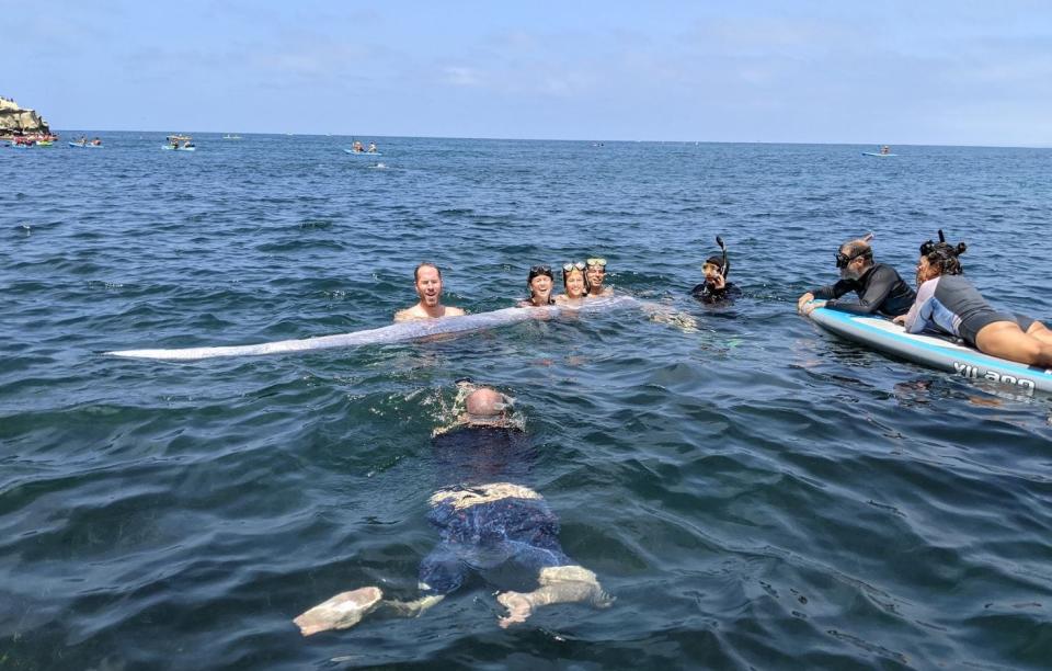 A group of "sciencey" kayakers and snorkelers found a 12-foot-long oarfish at La Jolla Cove over the weekend, making it the 20th oarfish to be found in California waters since 1901.