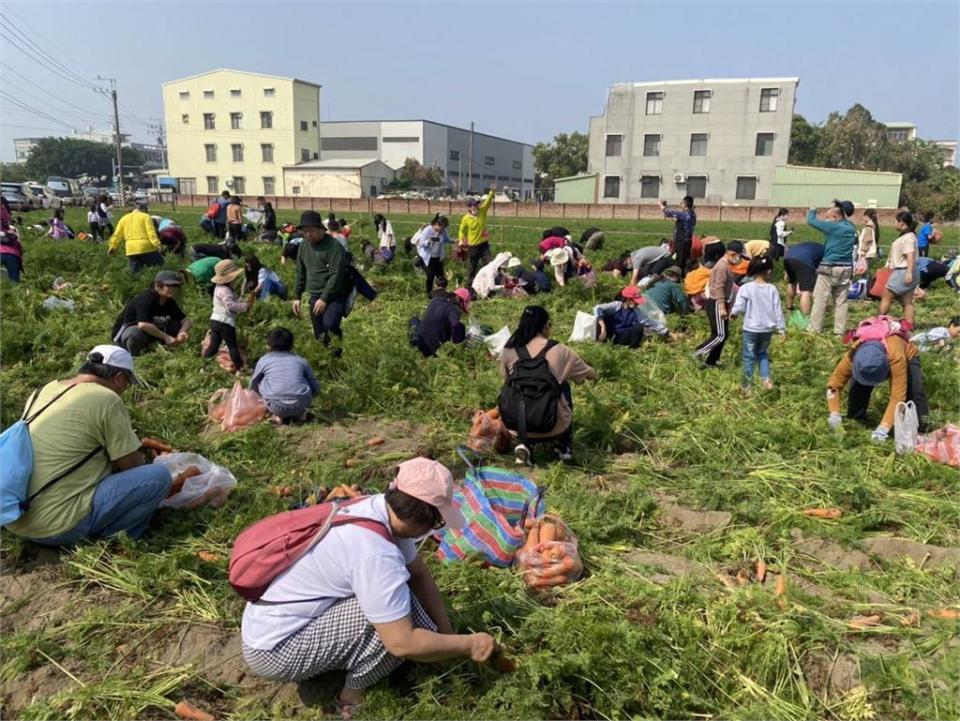 臺南春季花盛開 黃偉哲邀大家來將軍拔紅蘿蔔賞木棉