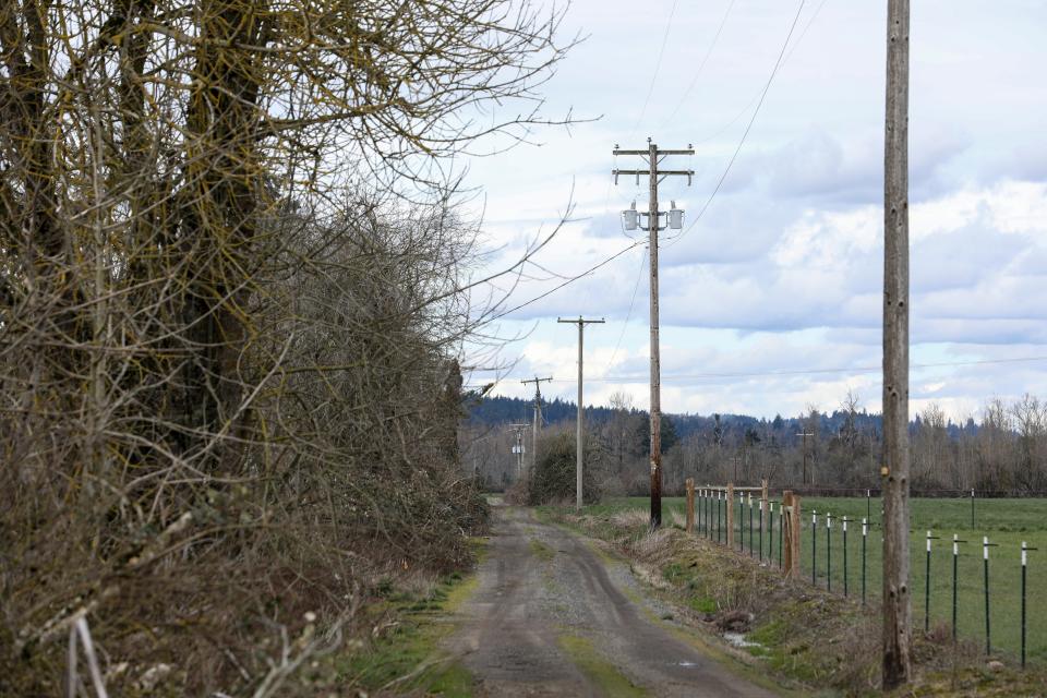 A gravel road leads to the possible site of J-S Ranch, a Foster Farms contract ranch, near Scio.