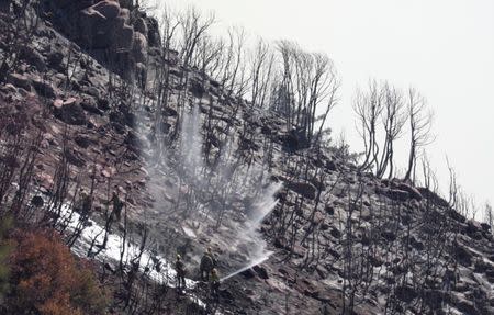 Firefighters spray water to put out hot spots during the Wilson Fire near Mount Wilson in the Angeles National Forest in Los Angeles, California, U.S. October 17, 2017. REUTERS/Mario Anzuoni