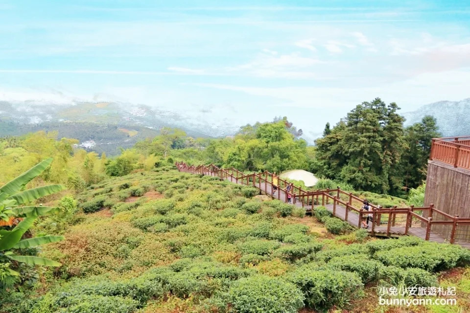 嘉義｜太興岩步道