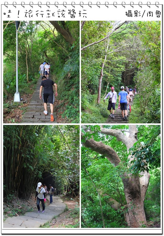 台北｜硬漢嶺登山步道