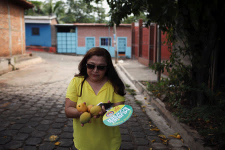 Isilda Hernandez collects mangoes from the steet in Intipuca, El Salvador, August 14, 2018. Isilda recalled picking mangoes with her sister Emily to survive before migrating to the U.S. REUTERS/Jose Cabezas