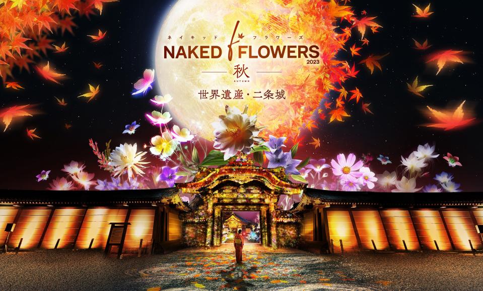 日本旅遊｜京都二條城 x NAKED秋季夜間光雕藝術展！超華麗藝術投影、紅葉點燈、數碼化茶道體驗