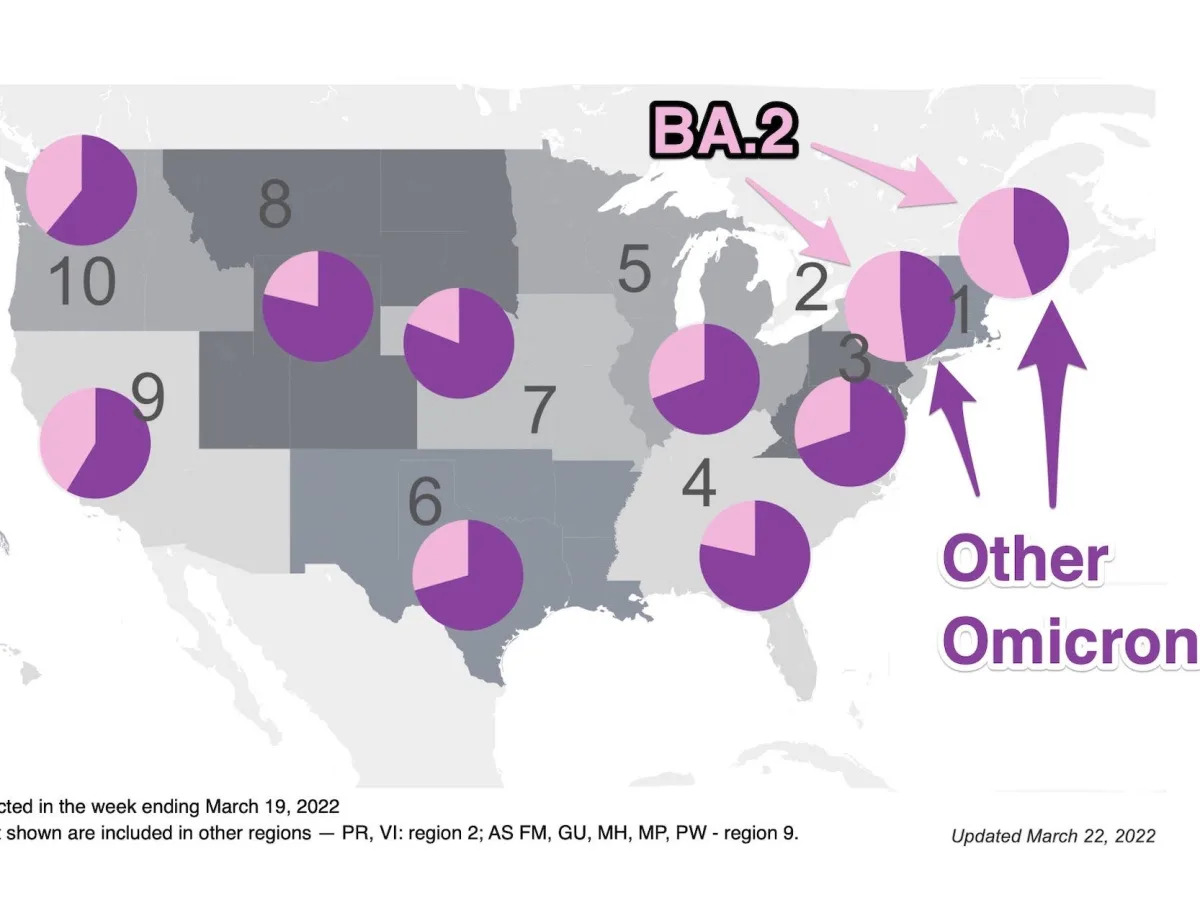The BA.2 Omicron subvariant is now dominant in northeastern US states, per CDC d..