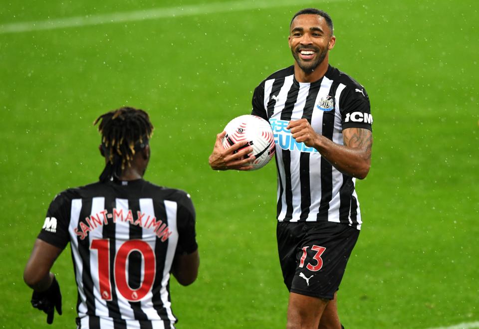 Callum Wilson celebrates after scoring for Newcastle (PA)