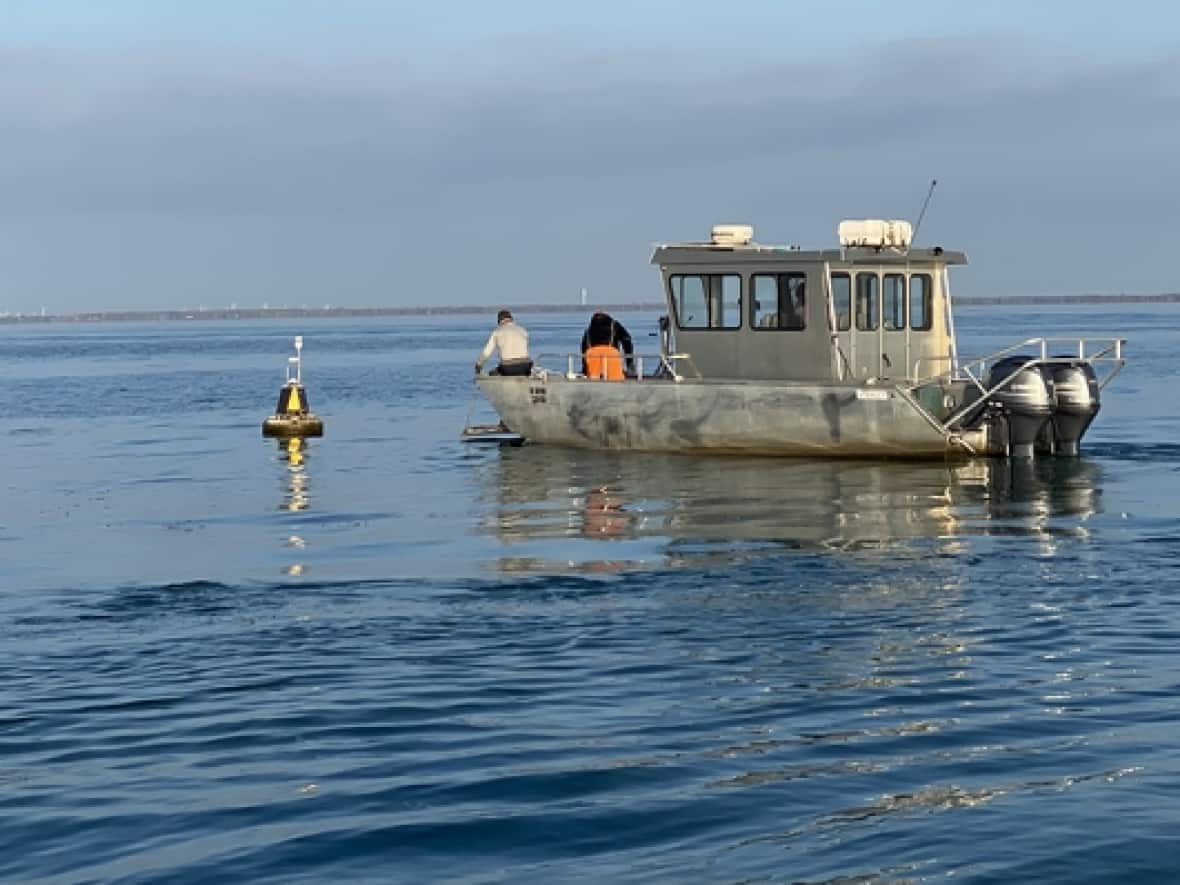 University of Windsor-RAEON graduate students and technicians approach a real-time water chemistry buoy in Lake Erie for cleaning and service aboard the RV Haffner in July 2022.  (University of Windsor - image credit)