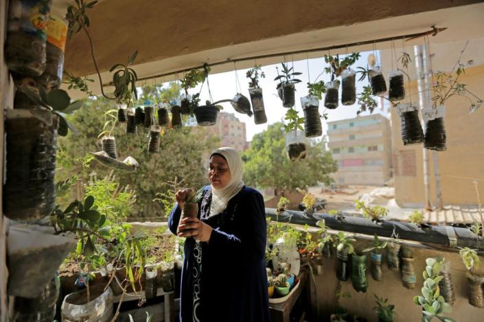 A woman grows her balcony inside recycled bottles on November 9, 2022 in Cairo, Egypt. The COP27 climate conference is bringing together political leaders and representatives from 190 countries to discuss climate-related topics including climate change adaptation, climate finance, decarbonisation, agriculture and biodiversity. The conference is running from November 6-18.