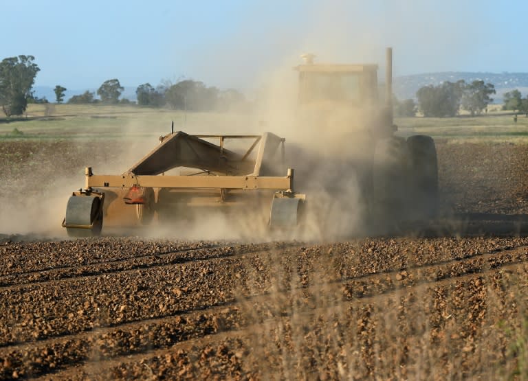 A farmer ploughs his dusty field in Sheldon as a severe drought continues to affect California, on May 25, 2015
