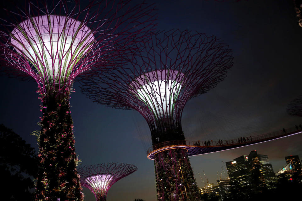 <p>People walk at a bridge between tree-like structures at the Gardens by the Bay park in Singapore September 26, 2016. (Jorge Silva/Reuters)</p>