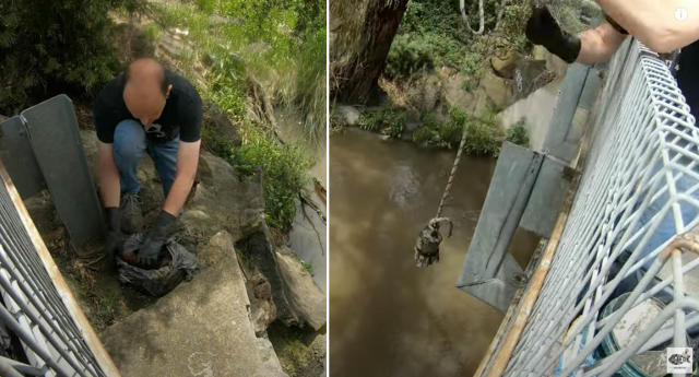 Fisherman's stunning $1000 find in Melbourne lake: 'Big shock