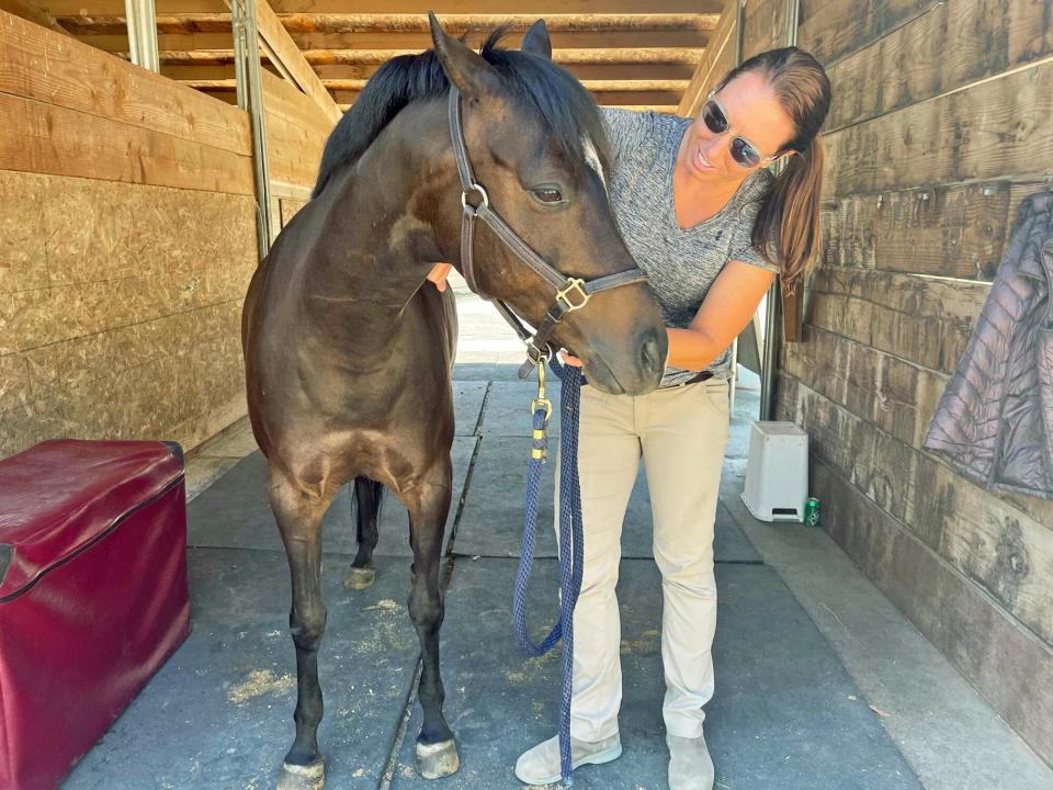 Dr. Cara Wright practicing holistic vet care with horse in a stable