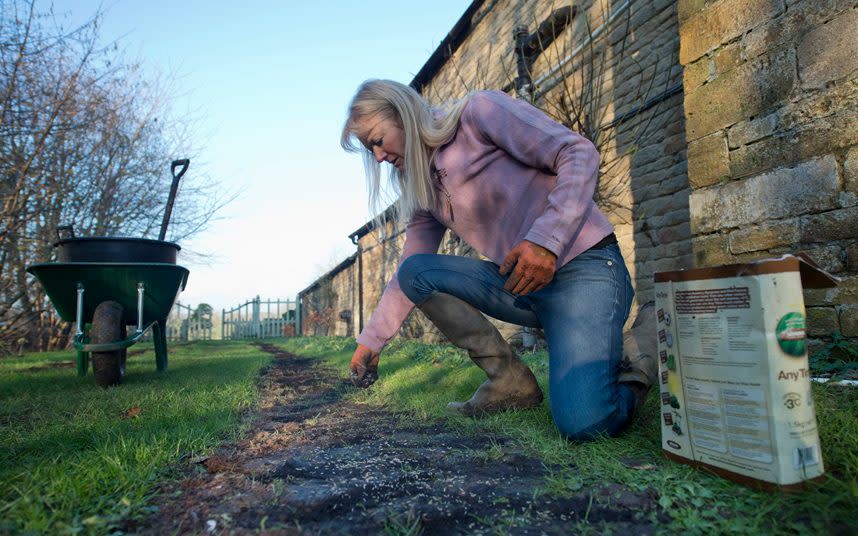 gardening jobs in January what to plant do tidy garden this month 2022 uk winter spring - David Rose