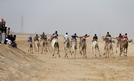 Jockeys, most of whom are children, compete on their mounts during the International Camel Racing festival at the Sarabium desert in Ismailia, Egypt, March 21, 2017. Picture taken March 21, 2017. REUTERS/Amr Abdallah Dalsh