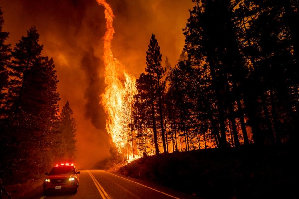 Flames leap from trees as the Dixie Fire jumps Highway 89 in Plumas County, California, on August 3, 2021. It is believed to be the first wildfire to crest the Sierra Nevada mountains (AP)