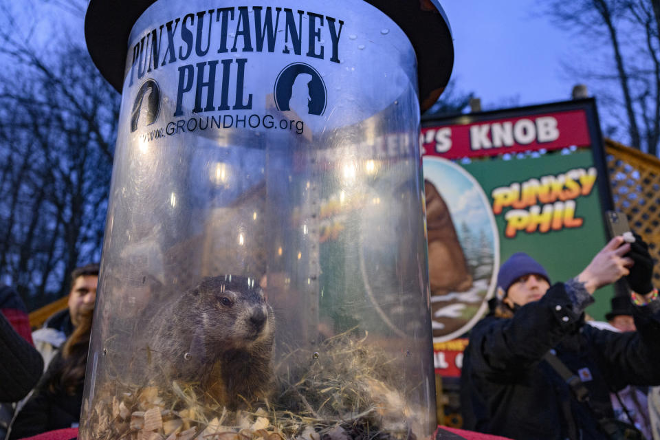   Jeff Swensen / Getty Images